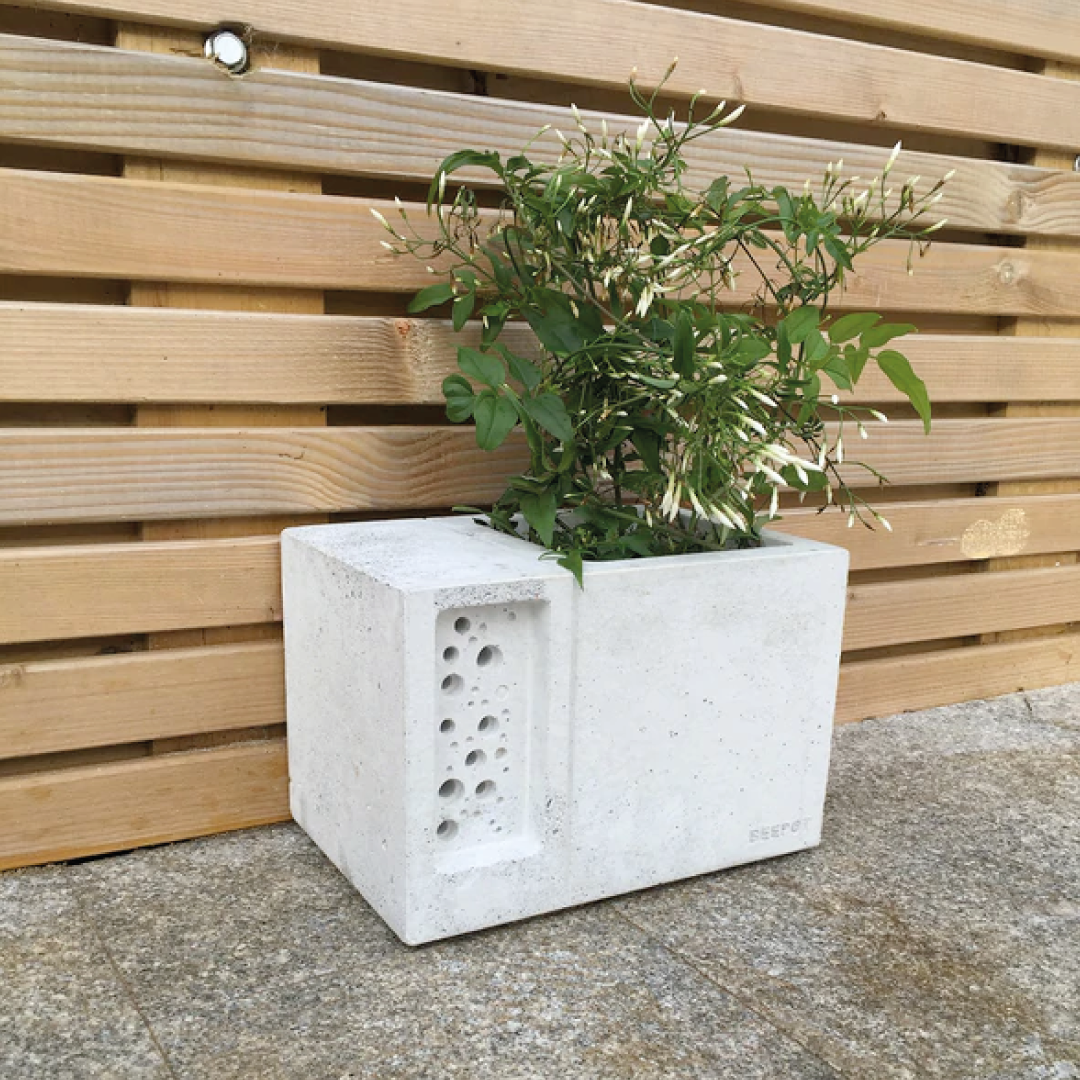 Beepot Concrete Planter & Bee House