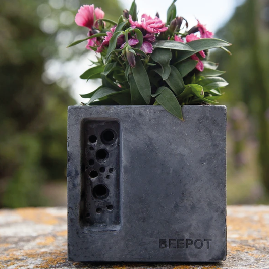 Beepot Mini