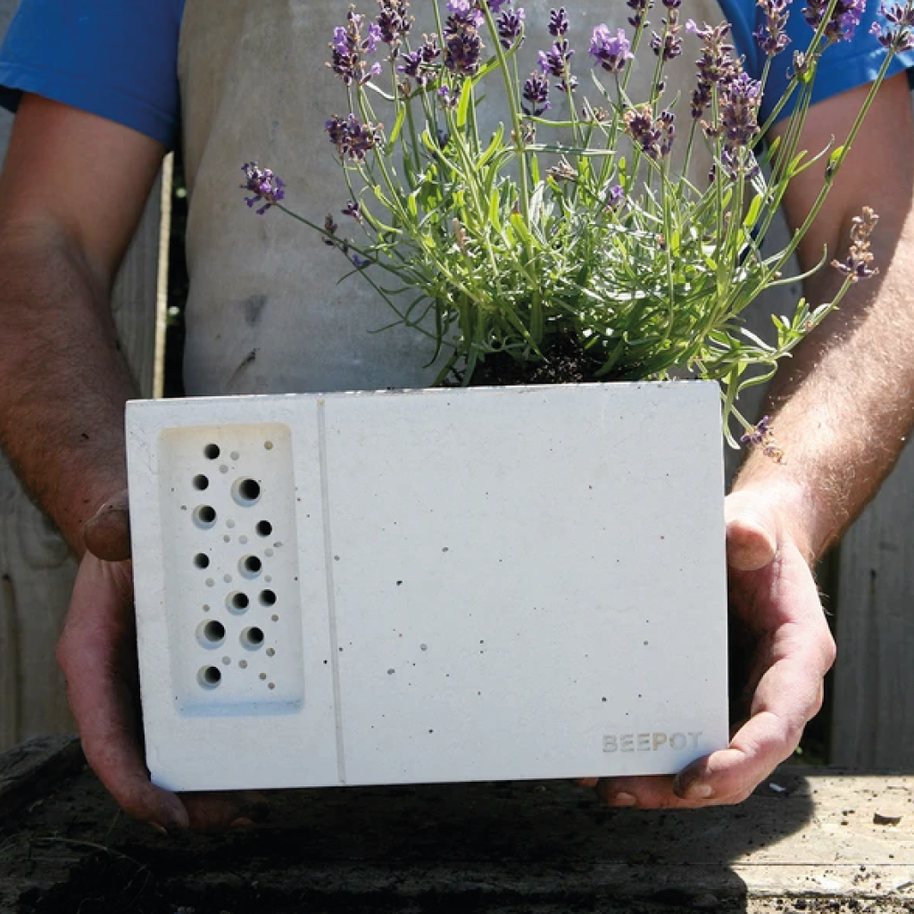 Beepot Concrete Planter & Bee House