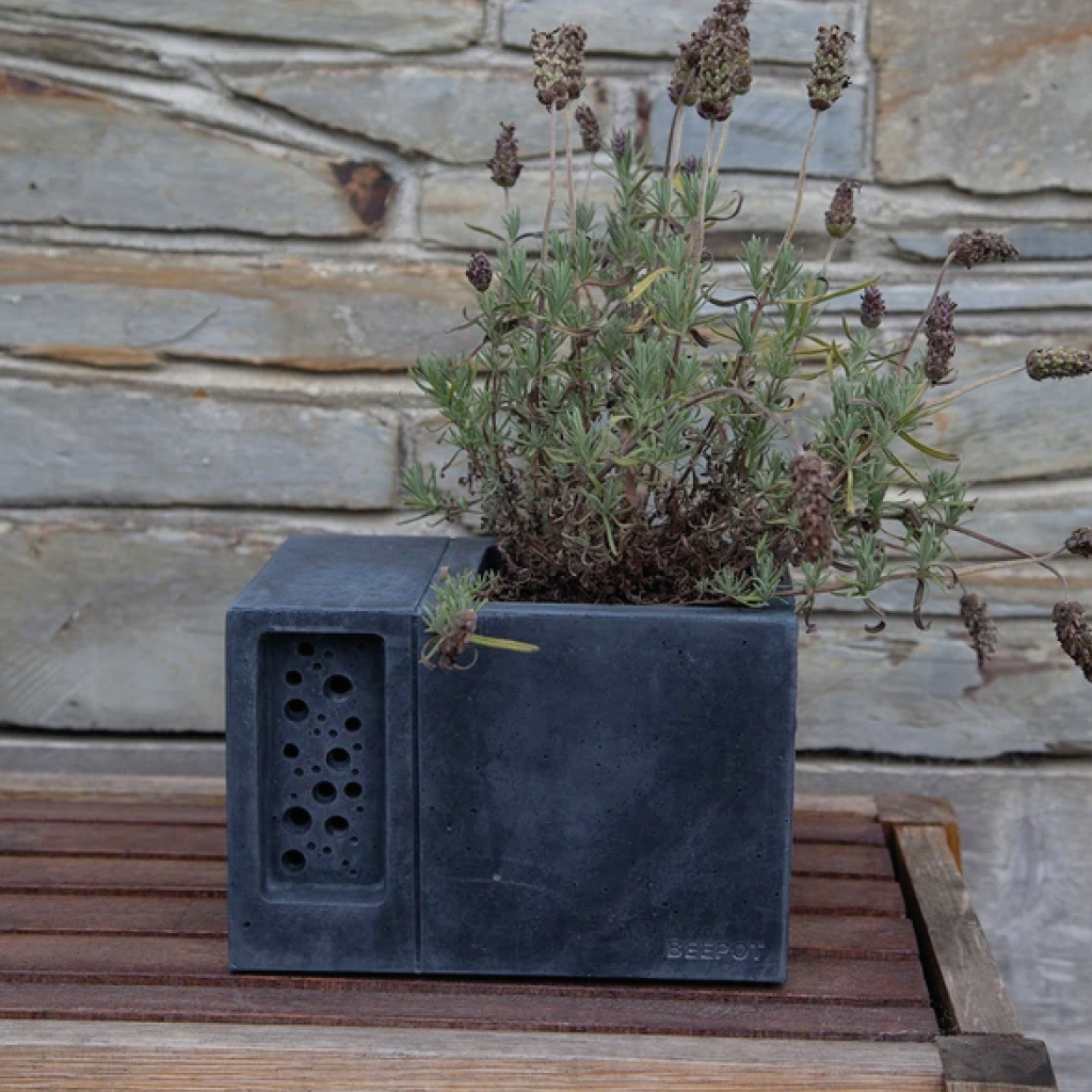 Beepot Concrete Planter & Bee House